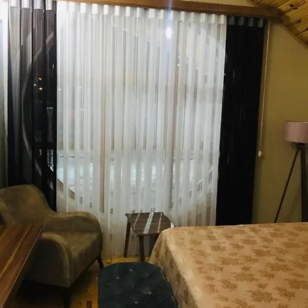 Sivas Yamacevleri Hotel *
